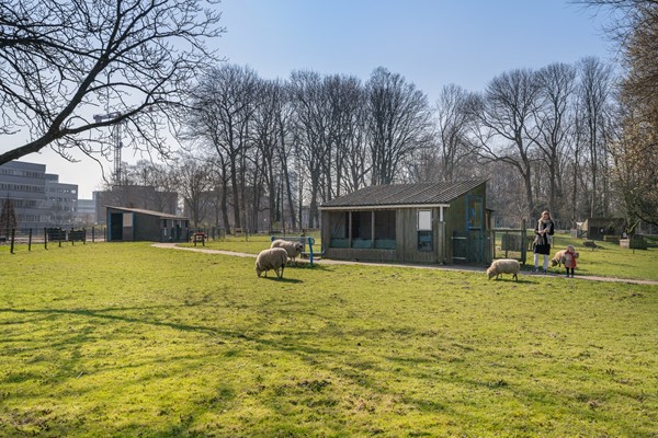 Mies van der Rohestraat 45, Hoofddorp-38.jpg